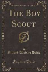 The Boy Scout (Classic Reprint)