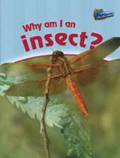 Why am I an Insect?