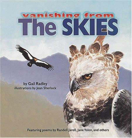 Vanishing From The Skies