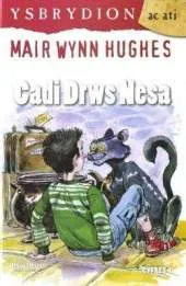 Cadi Drws Nesa