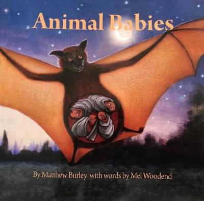 Animal Animal Babies