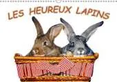 Les Heureux Lapins 2017: Des Lapins Devant l'Appareil Photo. Nous les Lapins, Nous Aimons Etre Pris en Photo