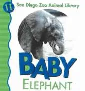 Baby Elephant