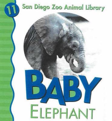 Baby Elephant