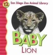 Baby Lion
