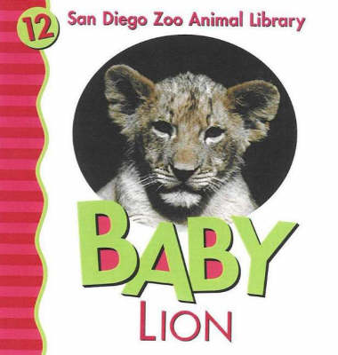 Baby Lion
