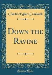Down the Ravine (Classic Reprint)