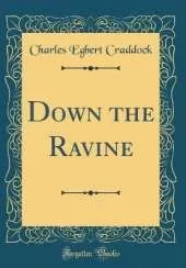 Down the Ravine (Classic Reprint)