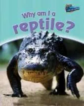 Why am I a Reptile?