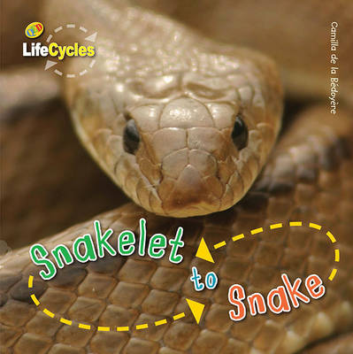 Life Cycles: Snakelet to Snake