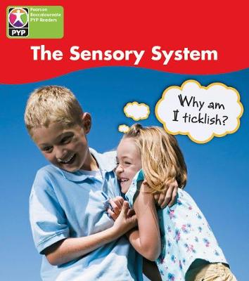 PYP L4 Sensory System single