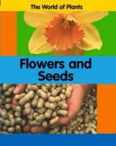 The World of Plants: Flowers and Seeds