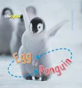 Life Cycles: Egg to Penguin