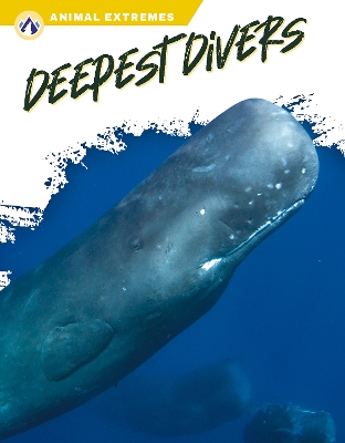 Deepest Divers