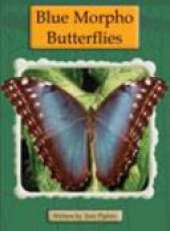 Springboard Lvl 24F: Blue Morpho Butterfl