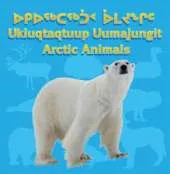 Arctic Animals