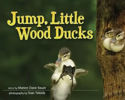Jump, Little Wood Ducks