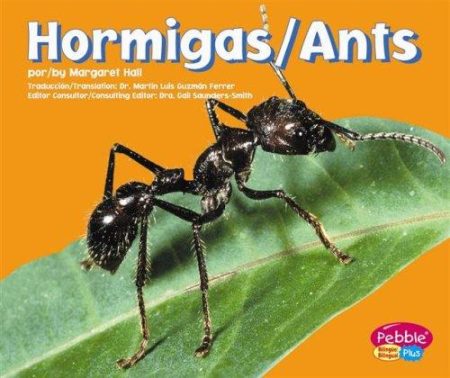 Ants