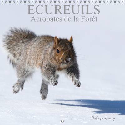 Ecureuils. Acrobates de la Foret 2017: Les Ecureuils du Quebec au Fil des Quatre Saisons