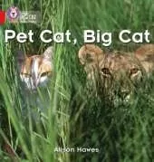 Pet Cat, Big Cat: Band 02a/Red a