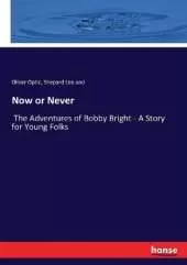 Now or Never: The Adventures of Bobby Bright - A Story for Young Folks