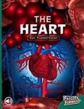 The Heart