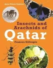 Insects and Arachnids of Qatar