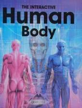 Human Body