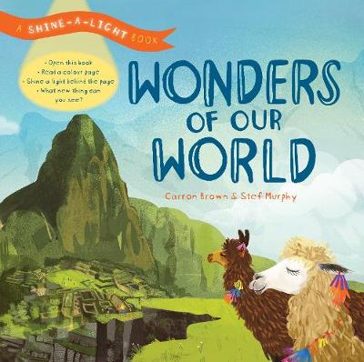 Shine a Light: Wonders of our World: A shine-a-light book
