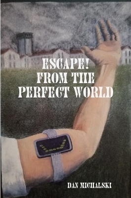 Escape from the Perfect World