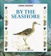 By the Seashore: Be an Animal Detective
