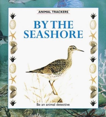 By the Seashore: Be an Animal Detective