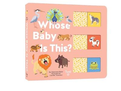 Whose Baby is This?