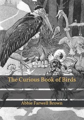 The Curious Book of Birds