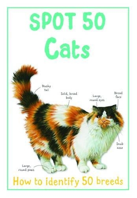 Spot 50 Cats
