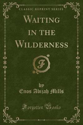 Waiting in the Wilderness (Classic Reprint)