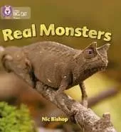 Real Monsters: Band 03/Yellow