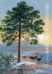 Red Pines on the Ridge