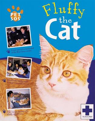 Pet SOS: Fluffy The Cat