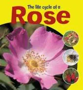 Learning About Life Cycles: The Life Cycle of a Rose