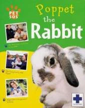 Poppet The Rabbit
