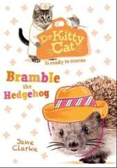 Dr KittyCat is ready to rescue: Bramble the Hedgehog