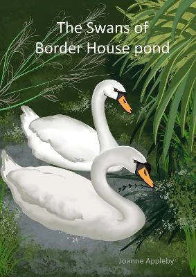 The Swans of Border House pond