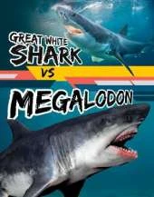 Great White Shark vs Megalodon