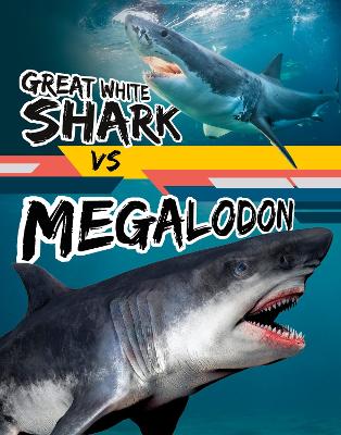 Great White Shark vs Megalodon