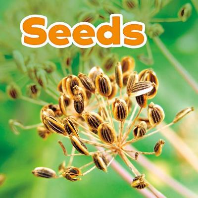Seeds