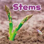 Stems