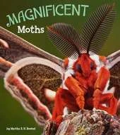 Magnificent Moths