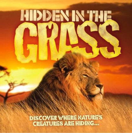 Hidden in the Grass