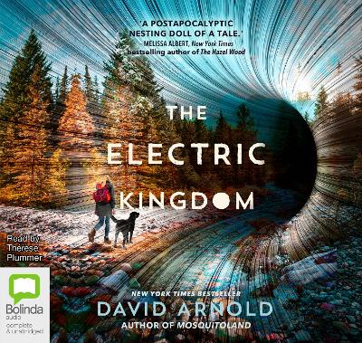 The Electric Kingdom